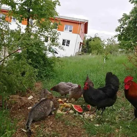 Gartenwohnung *